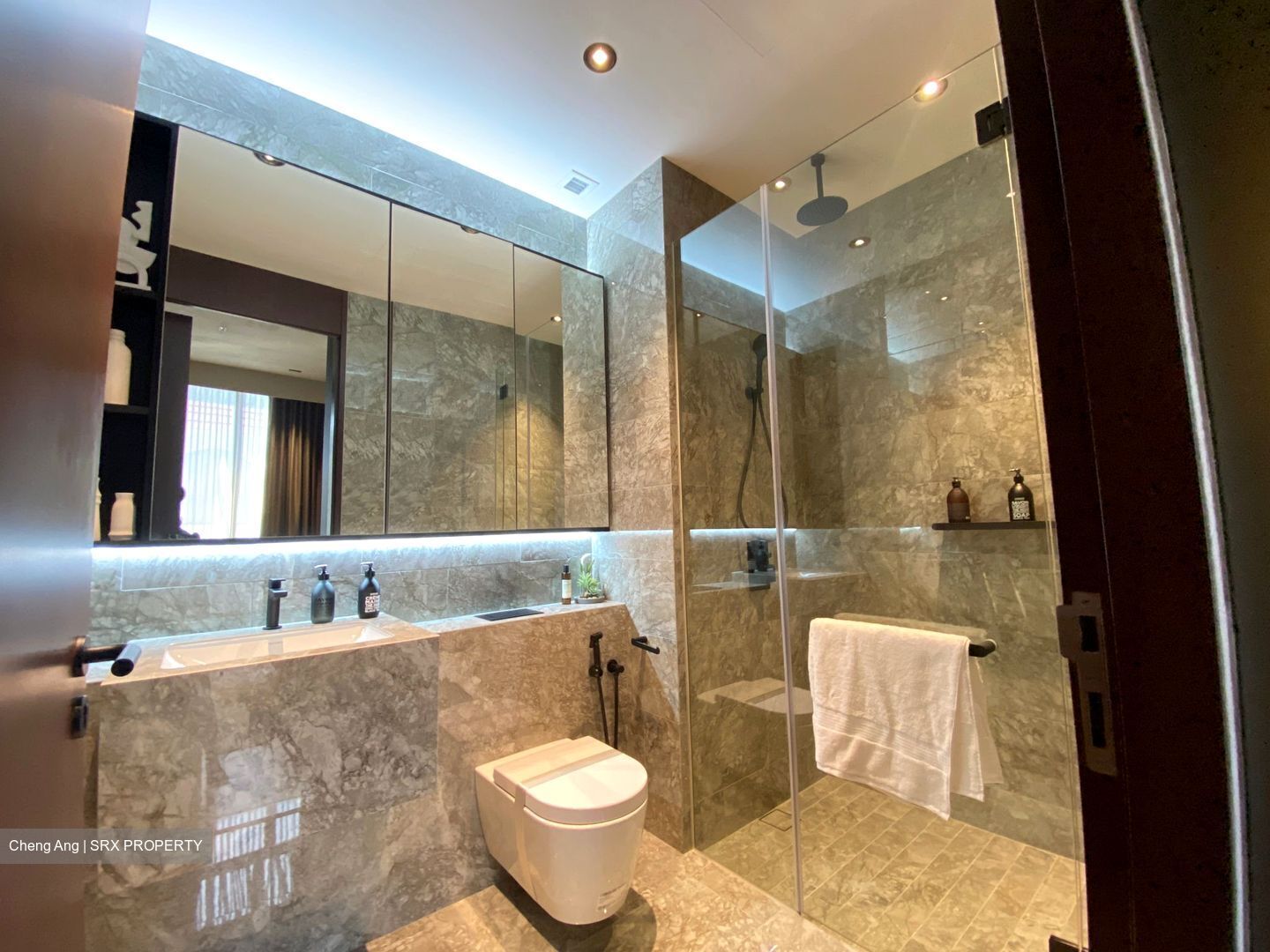 Jervois Privé (D10), Apartment #425324541